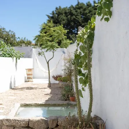 Casa Da Costa بيت ضيافة فيلا دو كوندي